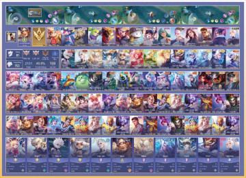 Acc VIP5716