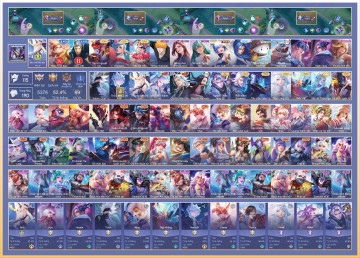Acc VIP5719